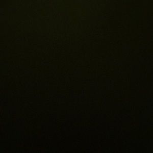 Meet your Posher, Netsanet